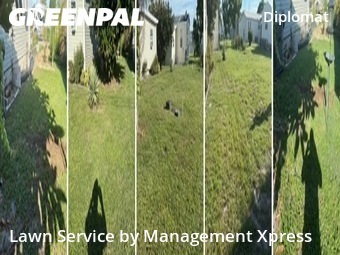 Grass Cut nearby North Fort Myers, FL, 