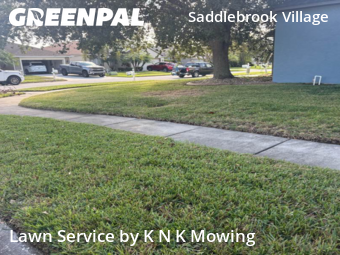 Lawn Cut nearby Wesley Chapel, FL, 