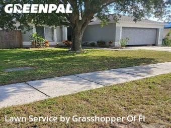 Yard Cutting nearby Brandon, FL, 