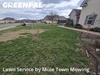 Lawn Cut nearby Christiana, TN, 