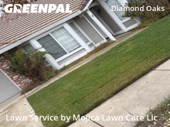Work completed by local-lawn-cutting-services-in-Roseville-CA