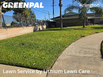 Lawn mowed in Riverside, 92503