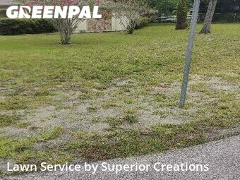 Yard Cutting nearby Spring Hill, FL, 