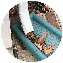 A downspout blocked with packed leaves and debris in Oceanside, CA