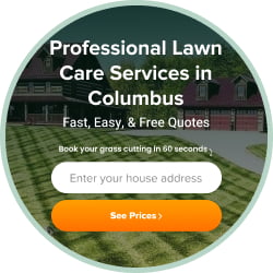 Enter Your Details for Lawn Care Service in Wichita Falls, TX
