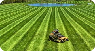 How does greenpal work