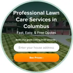 Enter Your Details for Lawn Care Service in Austin, TX