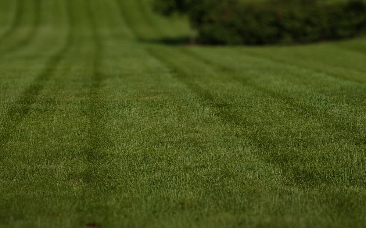 lawn-maintenance-in-Mountain Home-ID affordable-lawn-services-in-Mountain Home-ID