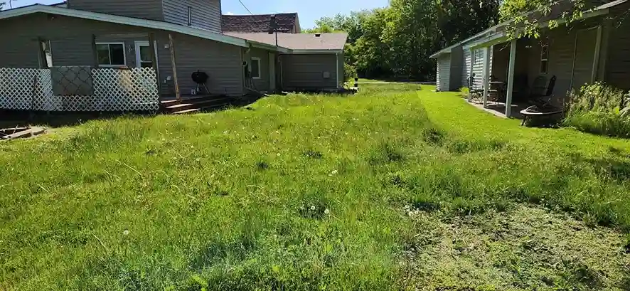 Lawn care service started by vendor 1 on GreenPal platform in Buena Park CA