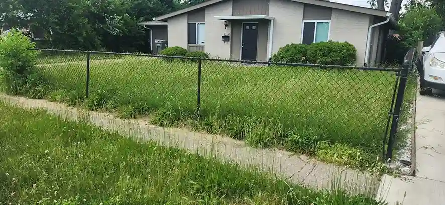 Lawn care service started by vendor 3 on GreenPal platform in Buena Park CA