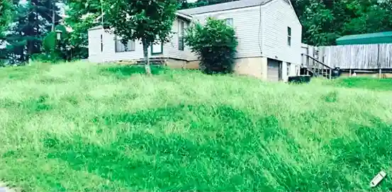 Lawn care service started by vendor 5 on GreenPal platform in Buena Park CA