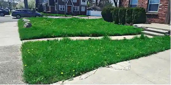 Lawn care service started by vendor 7 on GreenPal platform in Buena Park CA