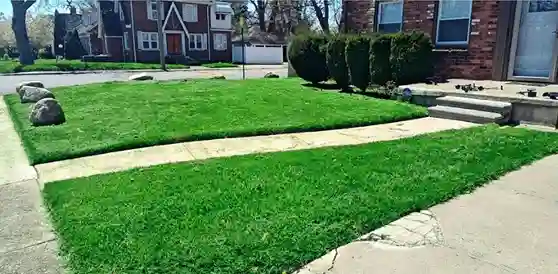 Yard maintenance completed by vendor 7 through GreenPal platform in Buena Park CA