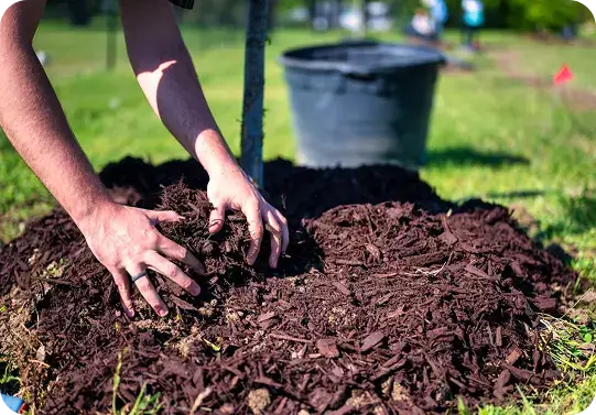 Best season for mulch installation in Merced, CA