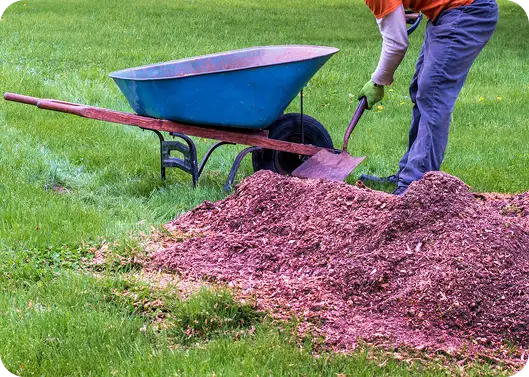 Local landscaping company preparing beds for mulch installation in Merced, CA