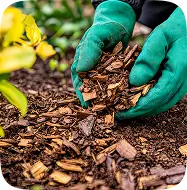 Mulch top-off in Merced, CA