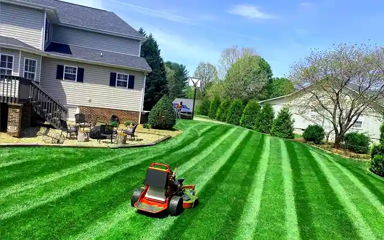 grass-cutting-businesses-in-Buena Park-CA