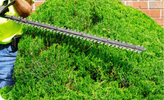 Worker using hedge trimmer for bush trimming in Baltimore