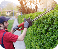 Professional shrub pruning in Baltimore