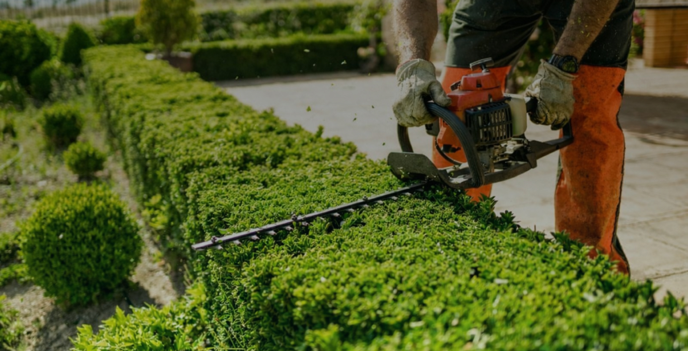 Hedge trimming and shrub pruning service in Baltimore, MD