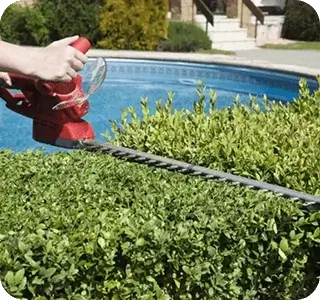 Landscaper using an electric hedge trimmer to shape a tall shrub row along a property line in Logan, UT