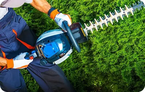Tree and shrub care bundle in Kansas City, MO