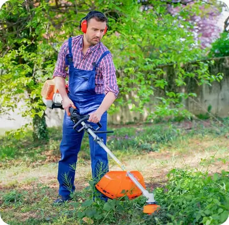 Ideal window for spring yard cleanup: pro tips for timing your yard maintenance in Albuquerque