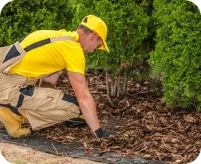 Professional landscaper using safe spring yard cleanup practices—protective gear and debris handling in Albuquerque, NM