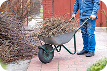 Spring yard cleanup before and after: debris removal and stick collection in Ithaca