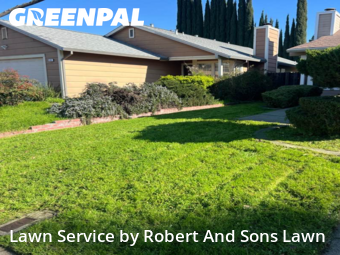 Yard Mowing in Vacaville, 95687, Lawn Mow by Robert And Sons Lawn, work completed in 14 Jan, 2026 