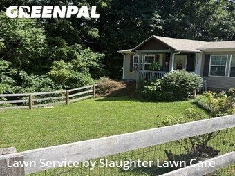 Lawn Cut nearby Powell, TN, 