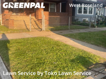 Lawn Care nearby Chicago, IN, 