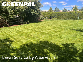 Lawn Mowing nearby Aurora, CO, 