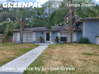 Grass Cutting nearby Wesley Chapel, FL, 