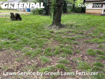 Grass Cut nearby Springfield, MO, 