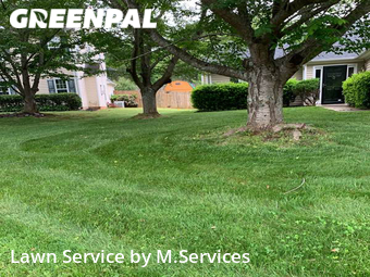 Grass Cut nearby Browns Summit, NC, 