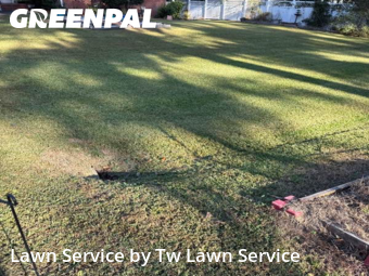 Turf Services in Macon, 31204, Weekly Mowing by Tw Lawn Service, work completed in Nov , 2025