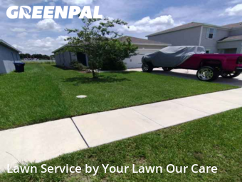 Lawn Cut nearby Winter Haven, FL, 