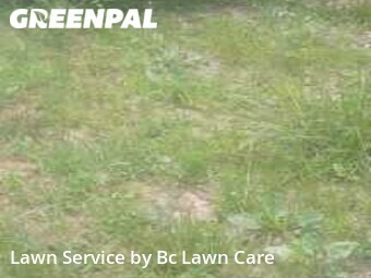 Yard Mowing nearby Zebulon, NC, 