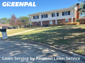 Lawn Cut nearby Arlington, TX, 