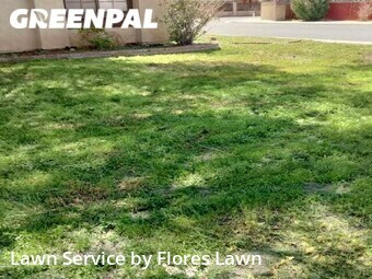 Lawn Maintenance nearby Palmdale, CA, 