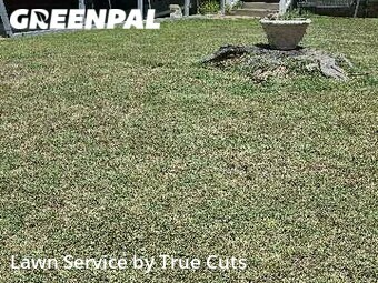 Grass Cutting nearby Midwest City, OK, 