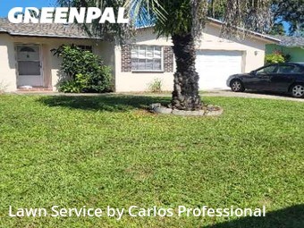 Lawn Cut nearby Clearwater, FL, 