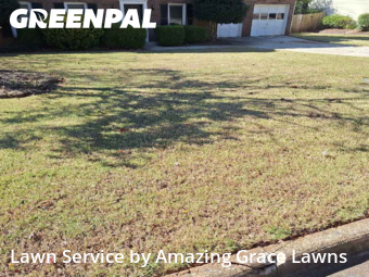 Lawn Mowing Servicein Lawrenceville,30044,Lawn Care by Amazing Grace Lawns, work completed in Nov , 2025