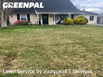 Lawn mowed in Bowie, 20715