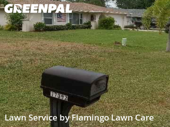 Lawn Services in Fort Myers, 33967, Landscaping Maintenance by Flamingo Lawn Care, work completed in Dec , 2025