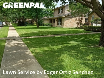 Lawn Servicein Richardson,75080,Lawn Maintenance by Edgar Ortiz Sanchez, work completed in Jun , 2026