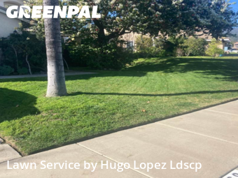 Work completed by affordable-grass-cutting-businesses-in-Lake Elsinore-CA