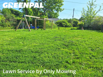 Lawn Care nearby Latham, NY, 