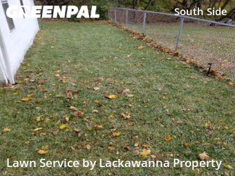 Lawn Work in Scranton, 18505, Yard Grooming by Lackawanna Property, work completed in Nov , 2025